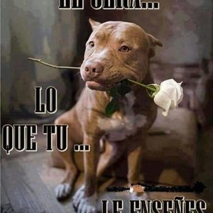 Meet your Posher, Jorge